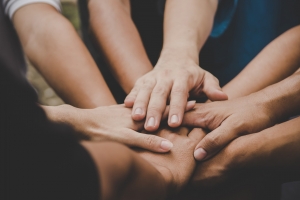 Navázali jsme spolupráci s Přírodovědeckou fakultou /Ostravská univerzita/